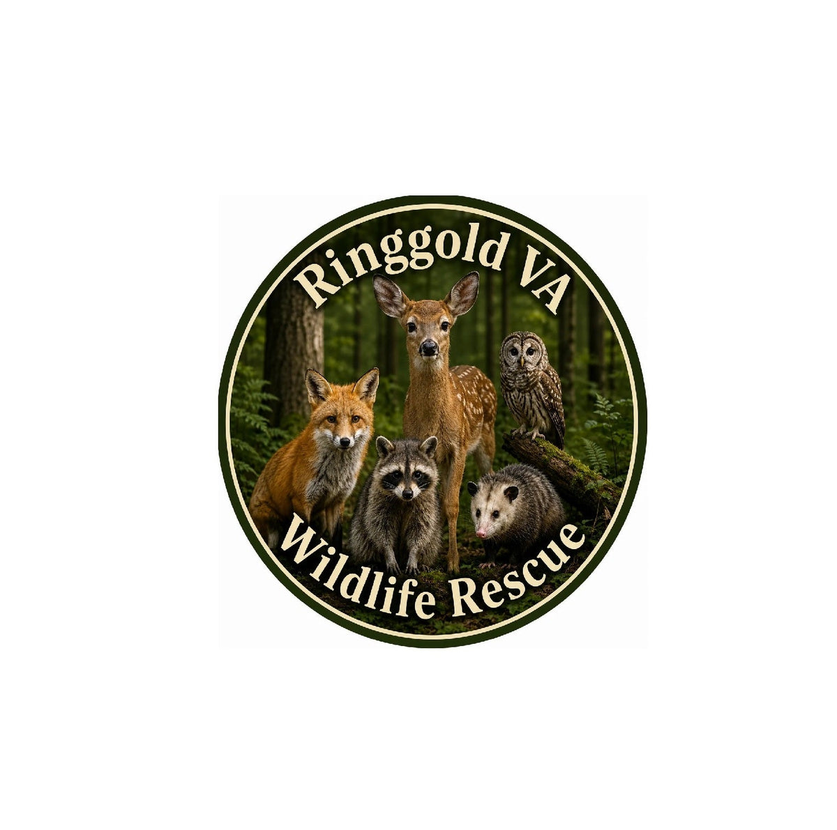 Ringgold VA Wildlife Rescue