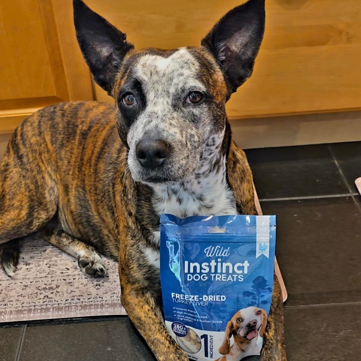 Treats & Tail Wags