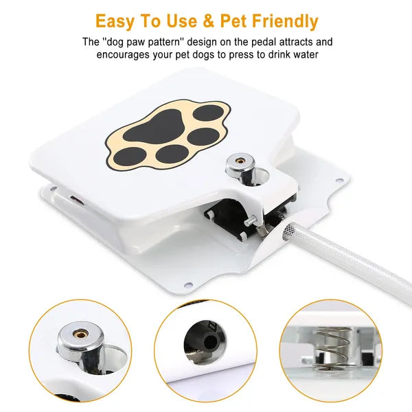 Outdoor Dog Water Fountain | Step-On Activated Sprinkler