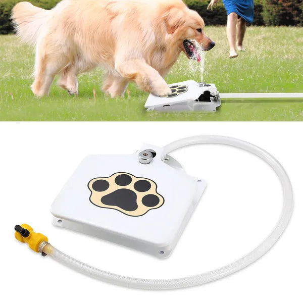 Outdoor Dog Water Fountain | Step-On Activated Sprinkler