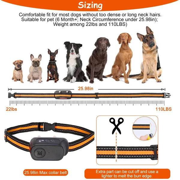 Dog Training Collar 984FT Range | Waterproof Rechargeable with 3 Modes