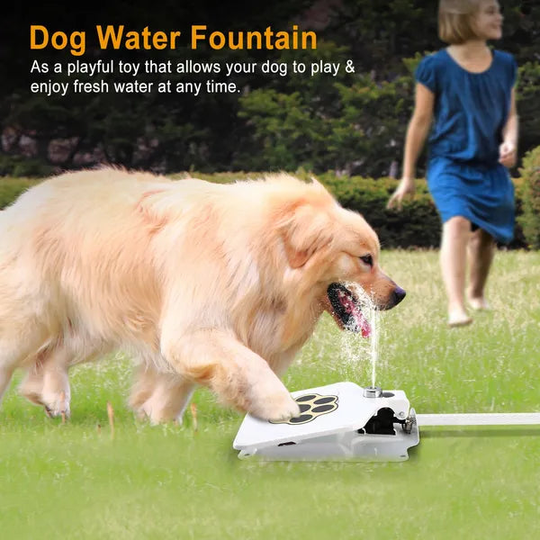 Outdoor Dog Water Fountain | Step-On Activated Sprinkler