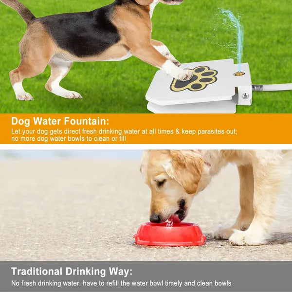 Outdoor Dog Water Fountain | Step-On Activated Sprinkler