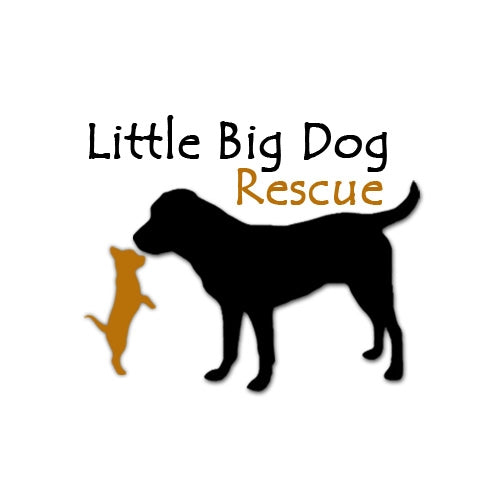 Little Big Dog Rescue | Christiansburg, VA (Adopt Mya, Toto, and Zelda)