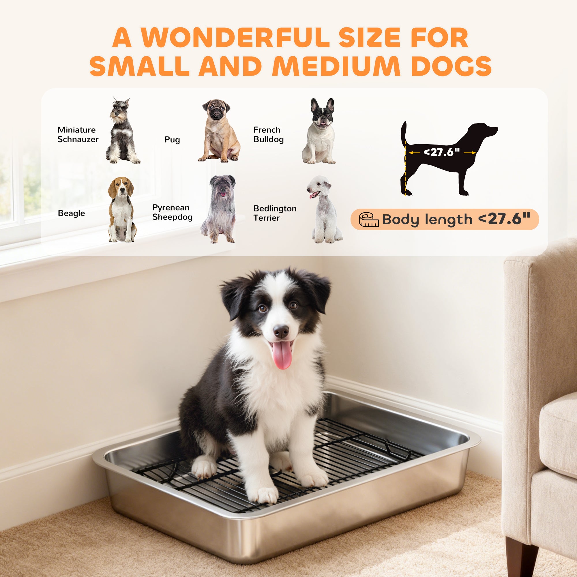 Dog Potty Tray Stainless Steel / small and medium dogs