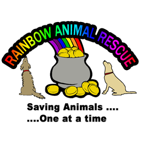 Rainbow Animal Rescue from Norfolk, VA | Dog Rescue Fundraising: Help Luke